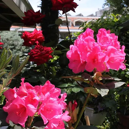With Parking Space Lovran, Opatija - 2336 * לובראן