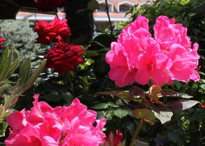 With Parking Space Lovran, Opatija - 2336 * Lovran