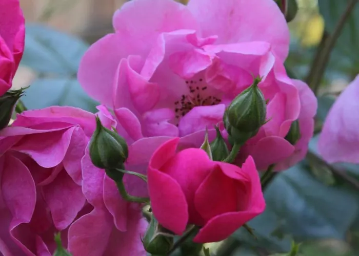 With Parking Space Lovran, Opatija - 2336 Apartamento